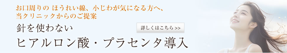 ヒアルロン酸・プラセンタ導入