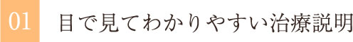 目で見てわかりやすい治療説明